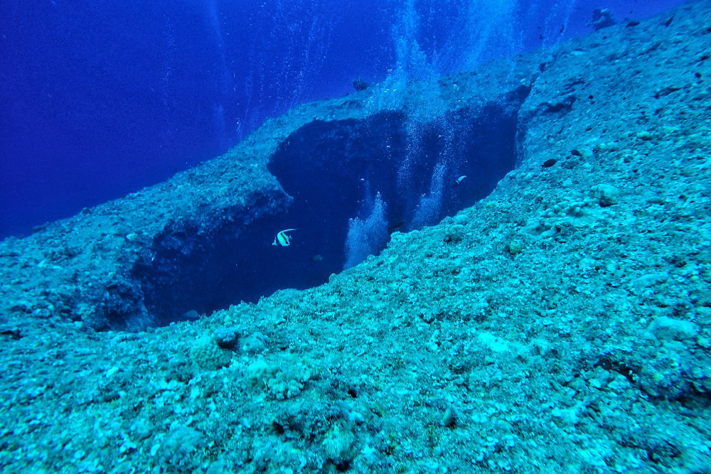 На глубине океана от 7000 метров ученые сняли необычных существ0