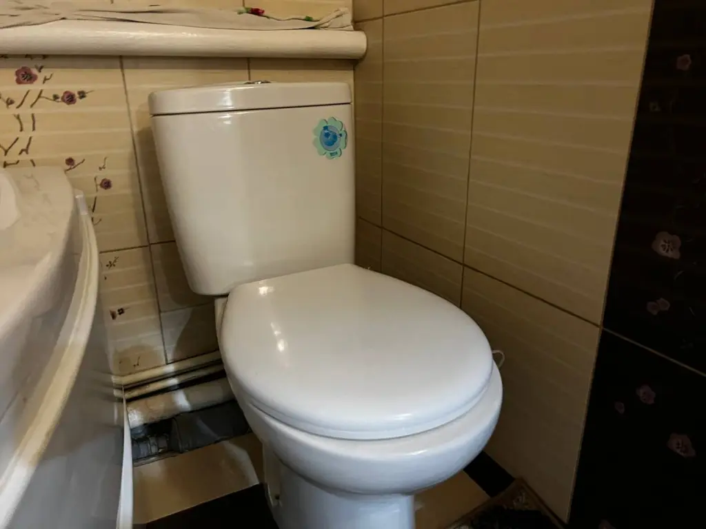 После этого инцидента я решительно закрываю крышку унитаза: причины этого решения