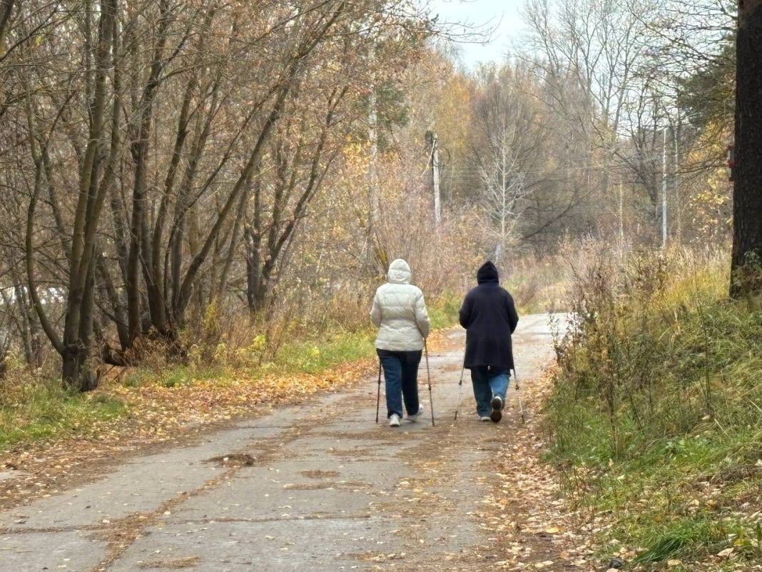 В старости никто не нужен, кроме себя: почему дети, жена и друзья не заменят вам главного — житейский опыт0