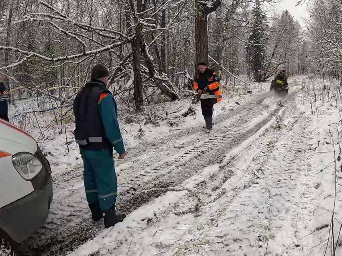 В Красноярском крае туристки нашли пропавшую семью Усольцевых в тайге0