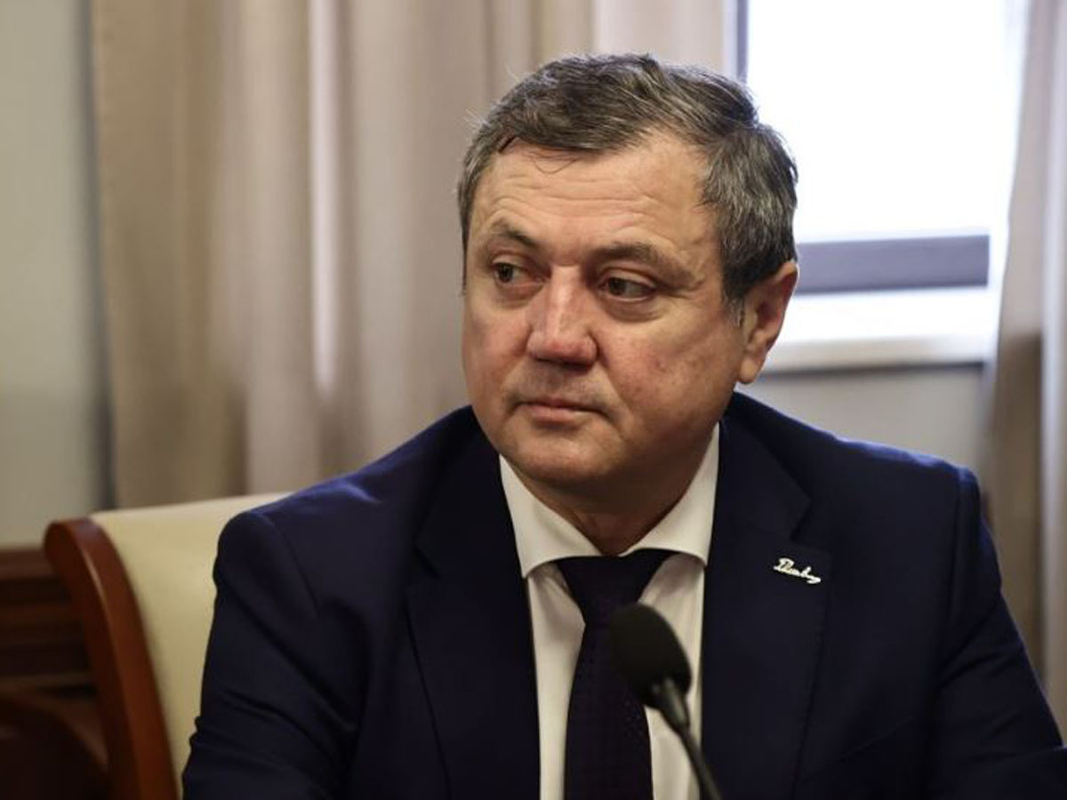 Главу азербайджанской диаспоры Ульяновска исключили из гражданства России0