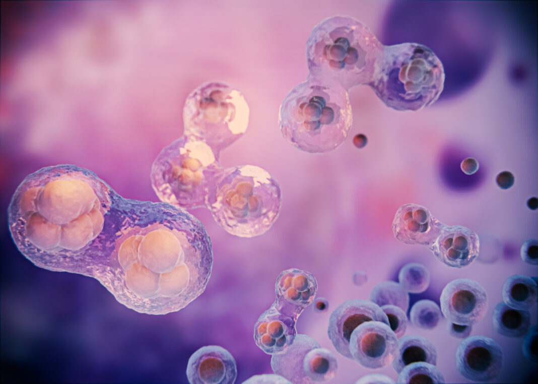beautiful-fertility-concept-3d-rendering0