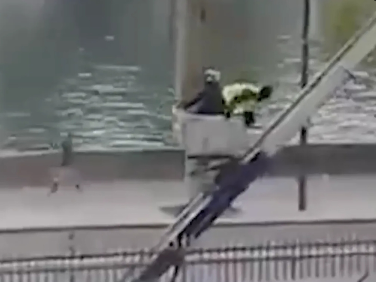 В сети появилось видео, запечатлевшее побег преступников после ограбления Лувра0