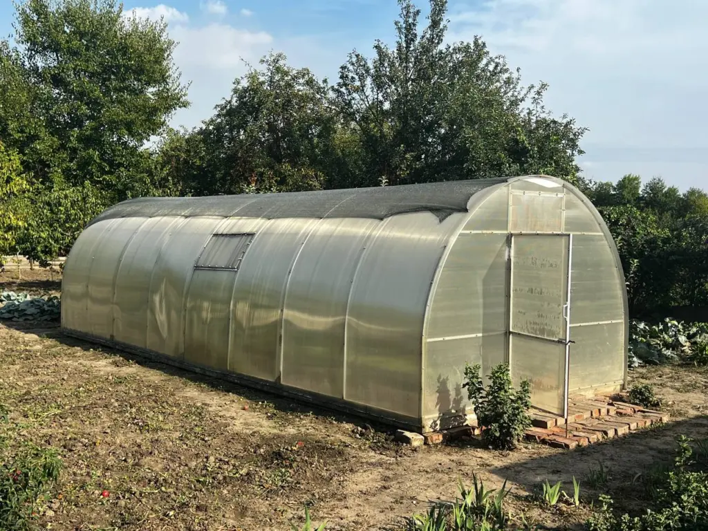 Закопка лаврового листа в огороде осенью: секрет, который помогает мне чувствовать себя лучше на протяжении многих лет