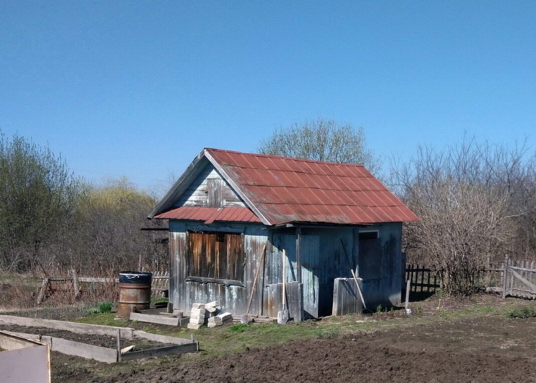 Последнее дело в огороде: сделайте это строго до 20 октября – весной все зацветет раньше соседей0