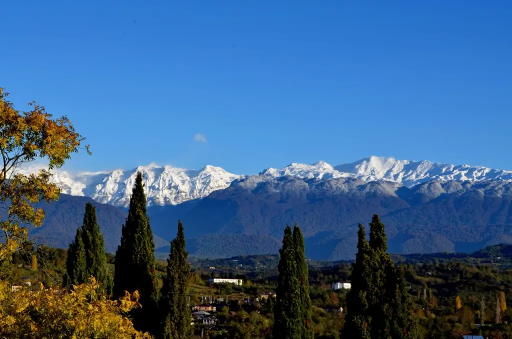 Купили дом мечты в Абхазии сделали ремонт а через год уехали оставив почти всё имущество вот что случилось