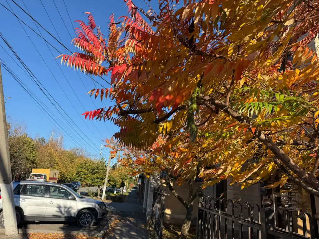 Климатические аномалии: от зимних холодов до летней жары — детальный прогноз погоды на ноябрь для разных регионов
