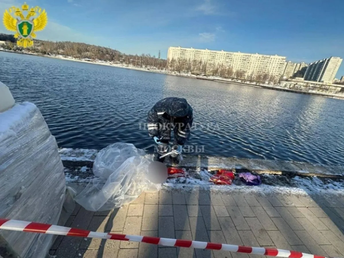 Жуткие подробности о семье мальчика, чью голову обнаружили в Гольяновском пруду0