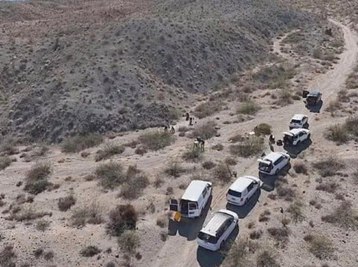 В пустыне Невада обнаружены останки более 300 человек: что произошло?0