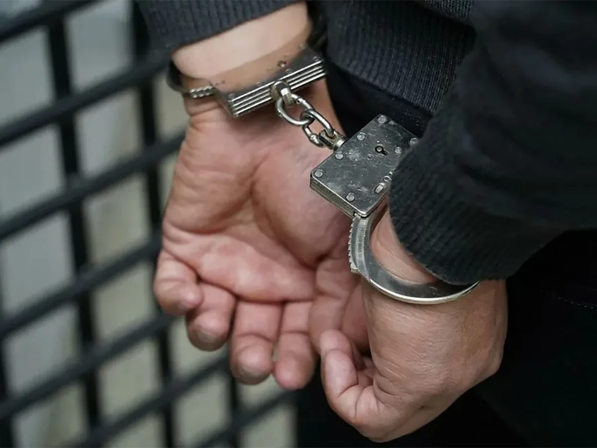 В Подмосковье снова задержали мигранта, получившего условный срок за убийство инвалида0