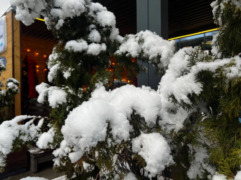 Синоптик Вильфанд сообщил о приближении настоящей зимы в Россию