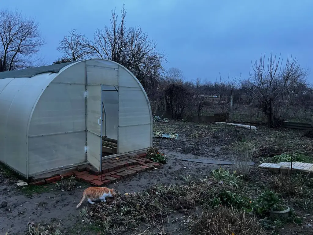 Открывать или закрывать теплицу зимой: что выбрать для правильного проветривания