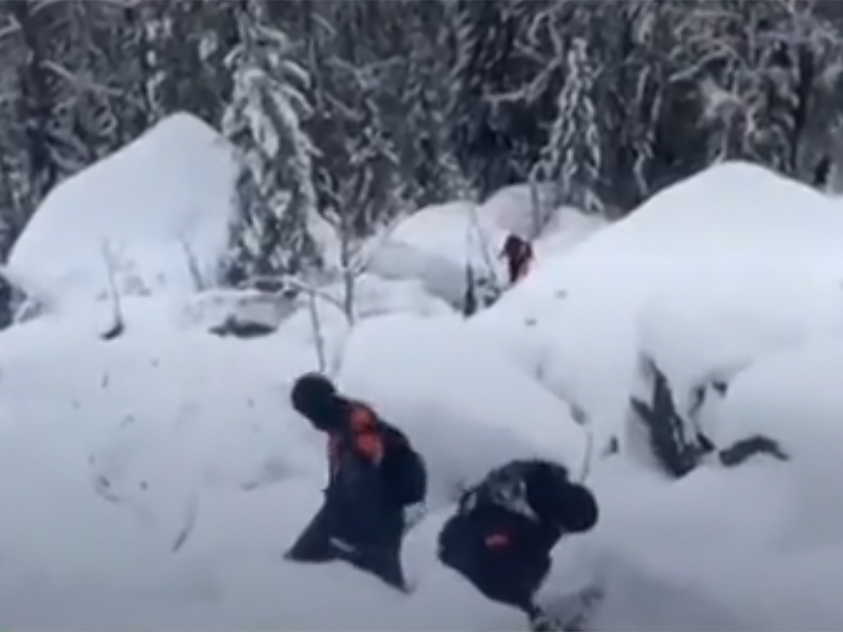 Недалеко от места поисков семьи Усольцевых спасатели обнаружили жуткую находку0