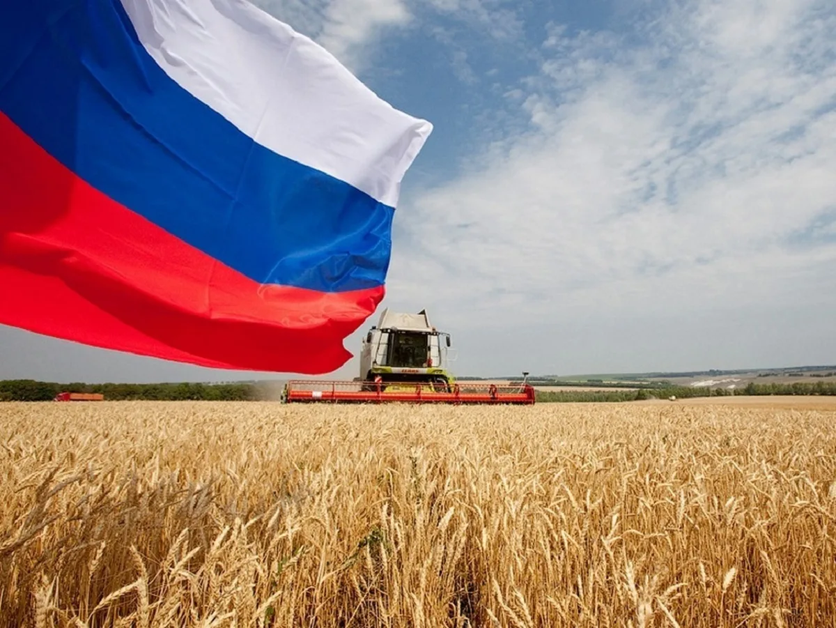 Армения пытается наладить связи с Украиной через закупки зерна, обвиняя в этом Россию0