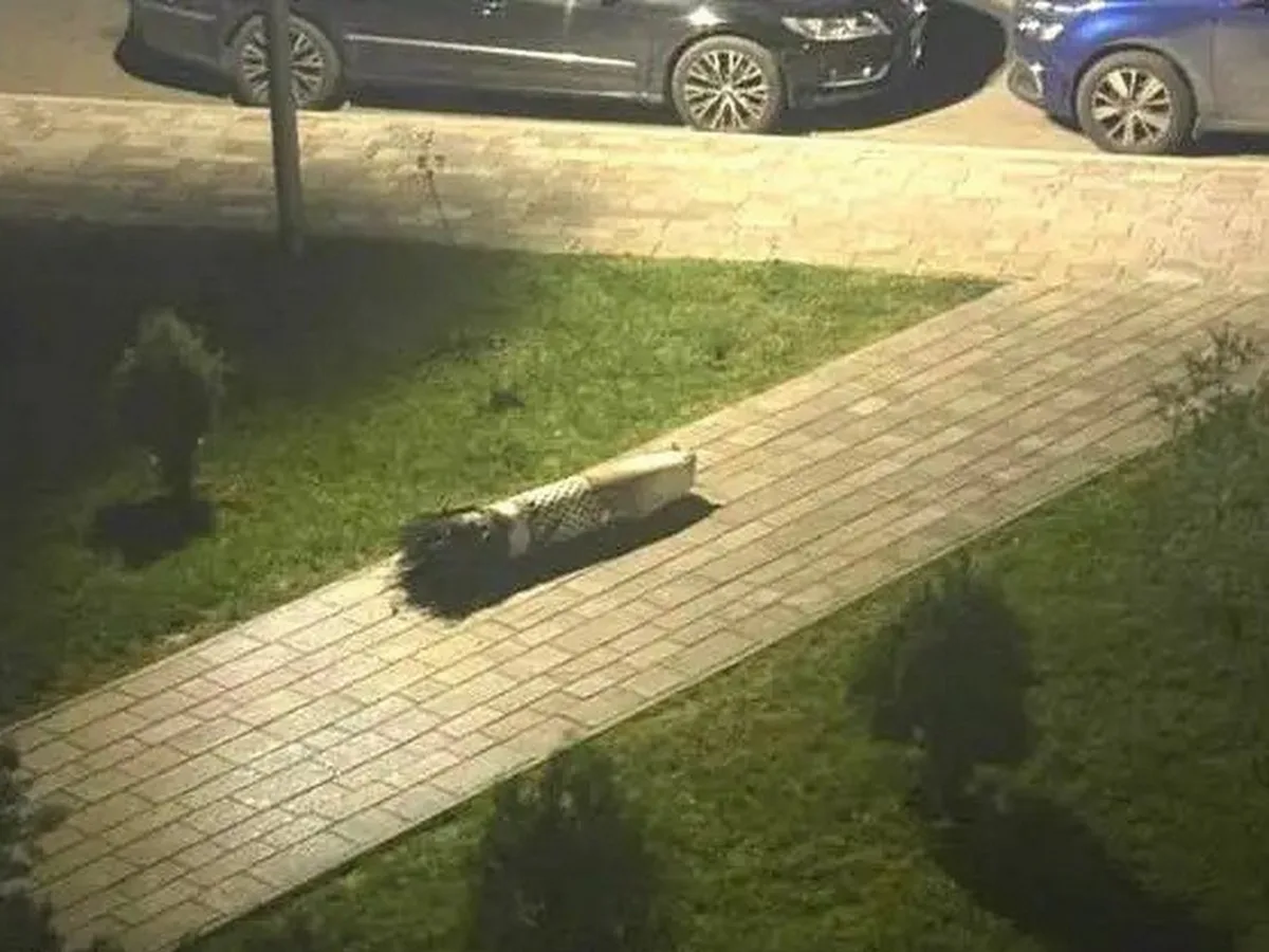 Баку в недоумении: американские ракеты поразили Киев вместо «Кинжала», разоблачая Зеленского0