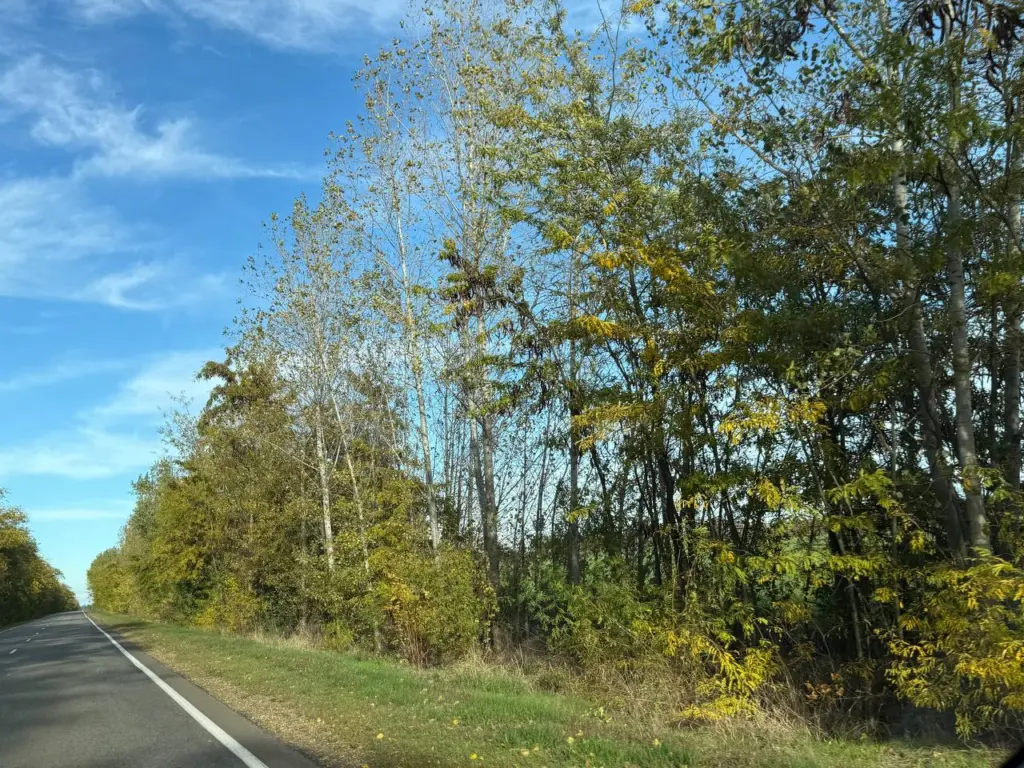 Новые сведения: синоптики существенно ухудшили прогноз погоды с 15 ноября