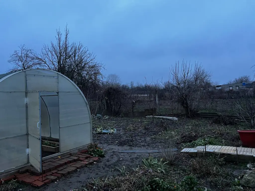 Как завершился дачный сезон, но заботы не заканчиваются: три метода для сохранения урожая