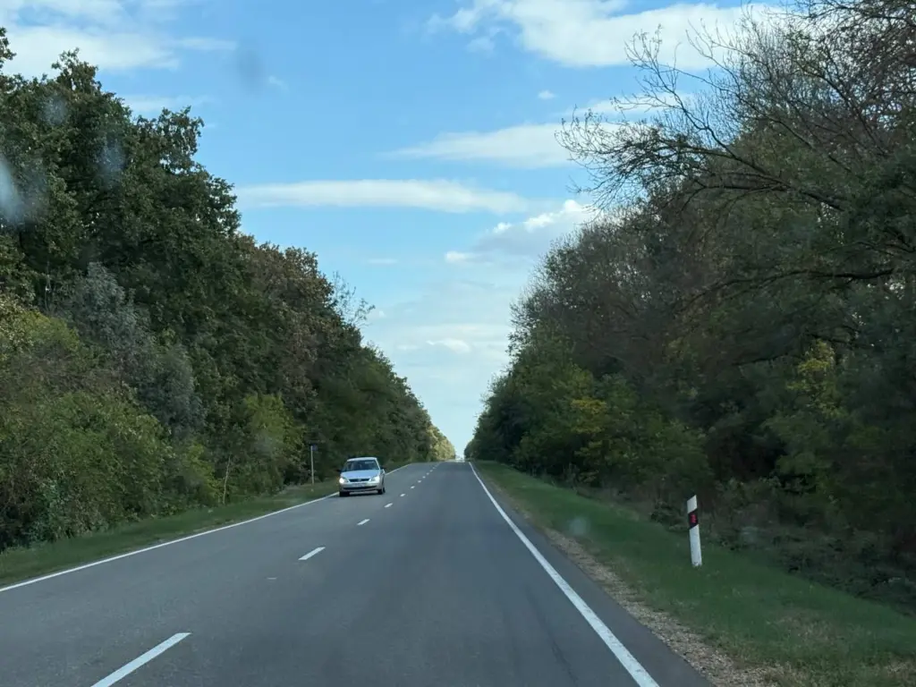 ГАИ объяснила, зачем инспекторы просят мобильный телефон для осмотра и как правильно на это реагировать водителю