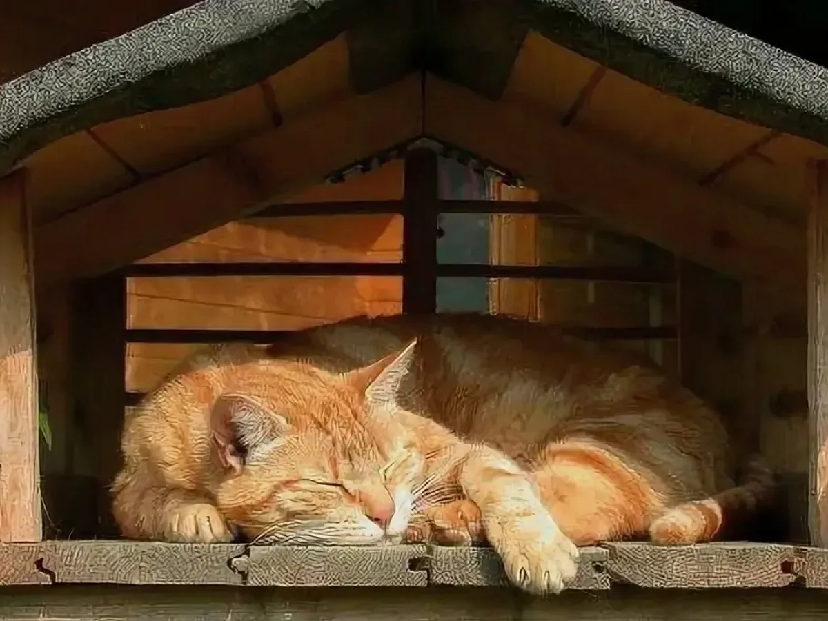 Исследования выявили связь между наличием кошек в доме и шизофренией0