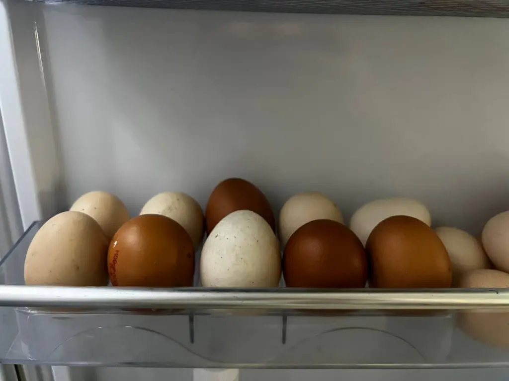 Умные продавцы покупают яйца домой именно так — запомните два полезных совета