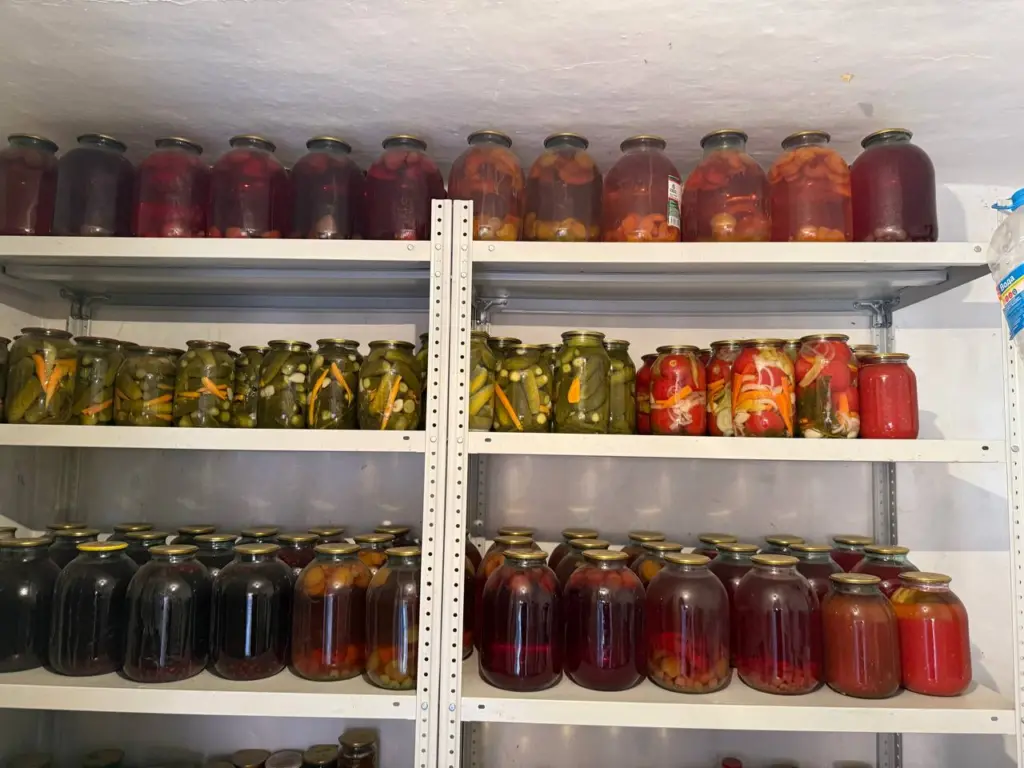 Один куст — целая бочка огурцов: лучший сорт для салатов и заготовок, который обеспечит всю семью и соседей