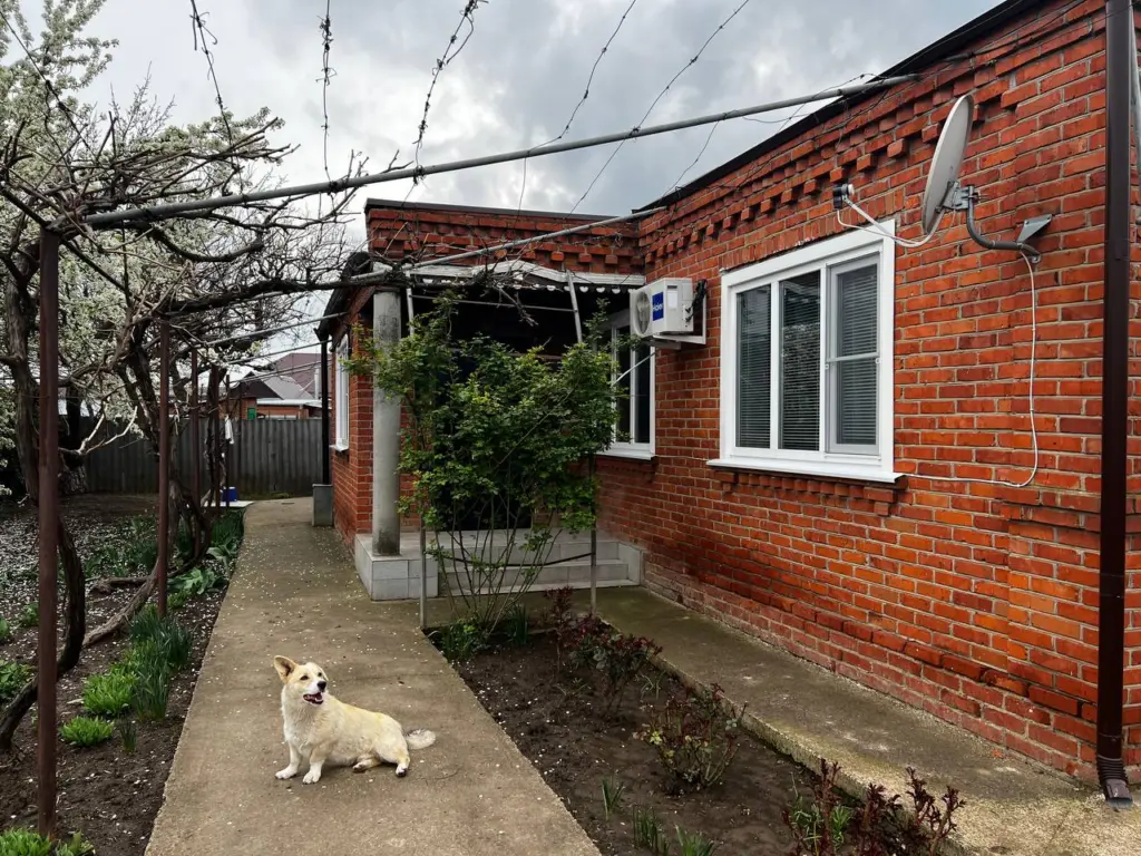 Кто страдал от окон с форточками? Эксперты объяснили, как неправильная энергоэффективность влияет на ситуацию