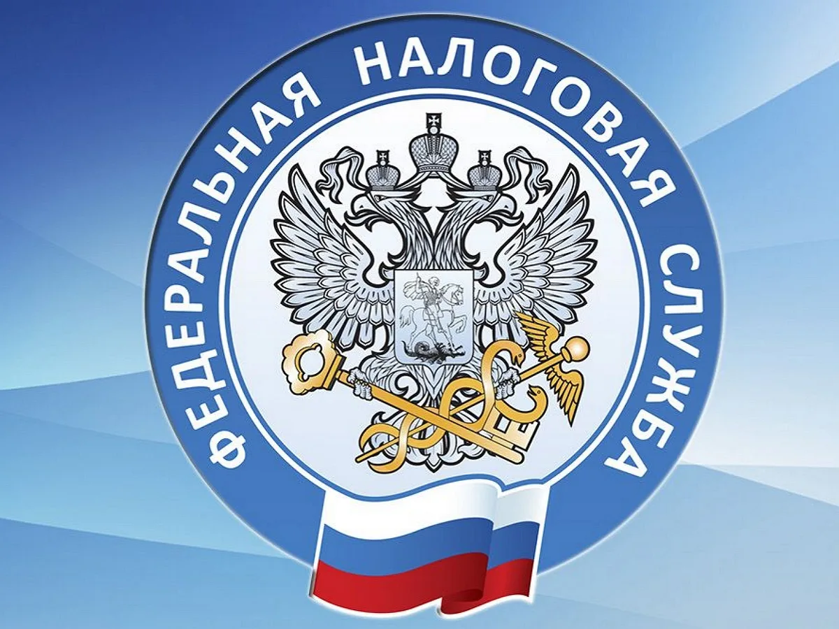 ФНС утвердила новые правила по пеням за задержку налоговых платежей с 2 декабря0