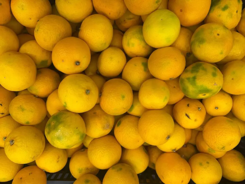 Как распознать настоящие абхазские мандарины и не попасться на турецкие — полезные советы