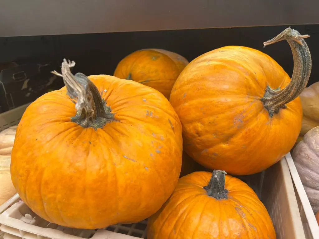 Потрясающая тыквенная каша с великолепным ароматом, которую вы полюбите за 30 минут приготовления