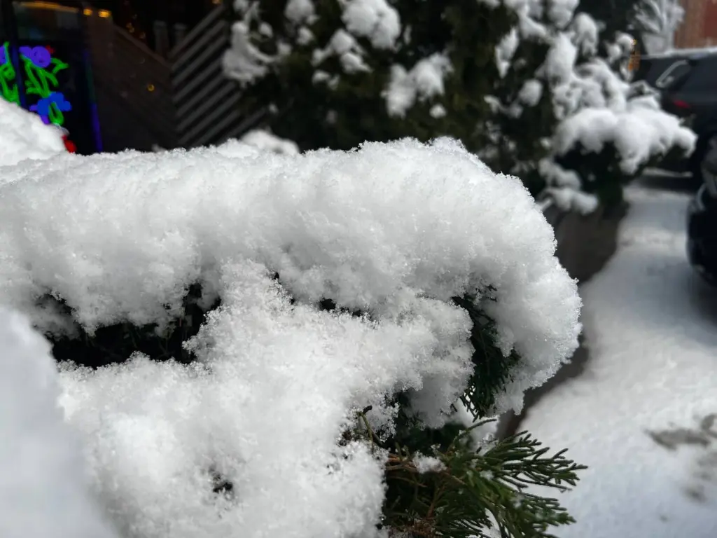 Зимой 2025 года нас ожидает нечто необычное, подобных событий не фиксировали с 1777 года: метеорологи о погодных аномалиях