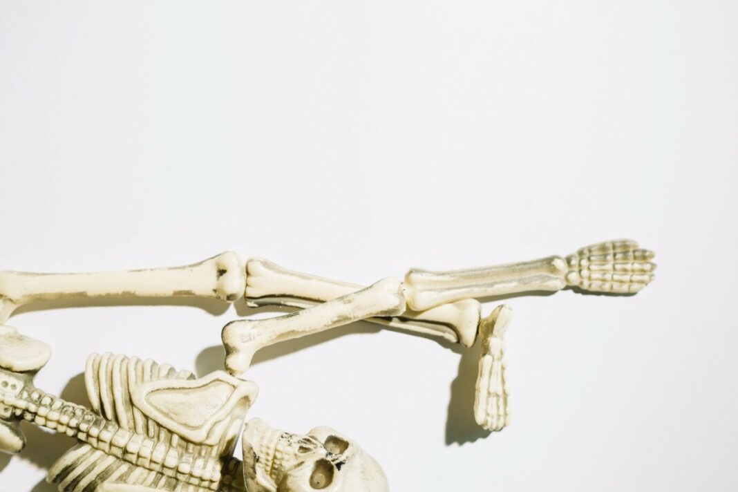 «Зелёная мумия» в Болонье: как медный гроб сохранил тело подростка0