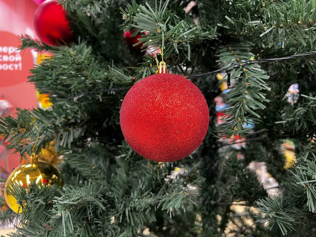 Новогодние праздники будут перенесены из-за ситуации в стране: январские каникулы 2025-2026 изменятся навсегда