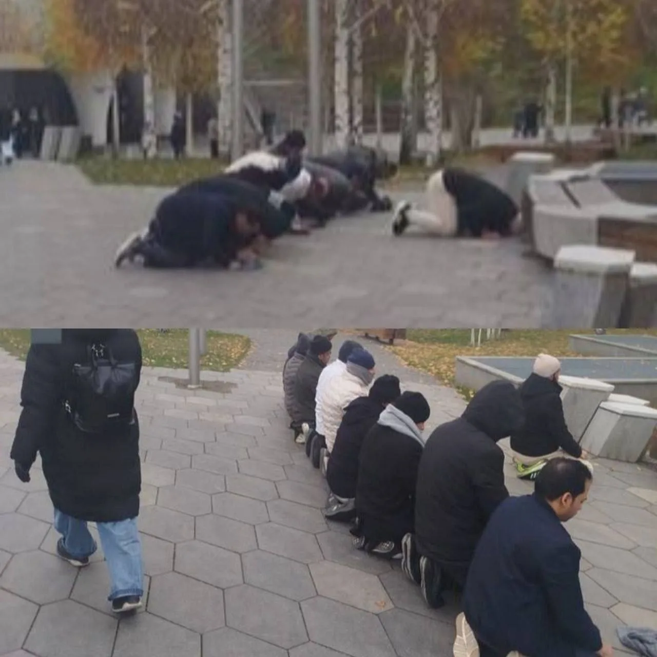 Юрий Подоляка — Намаз или флэшмоб: Москва, Парк «Зарядье» ноябрь 2025-го