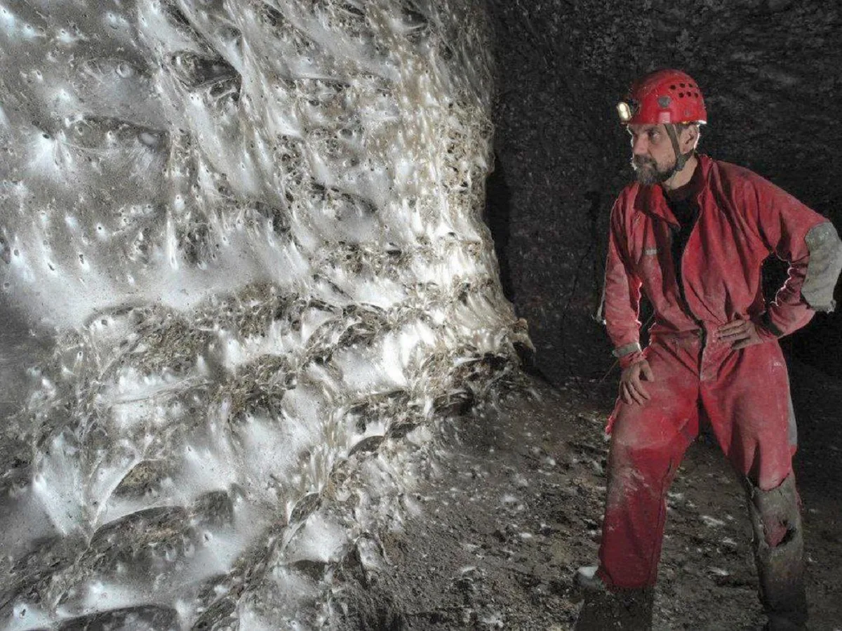 На границе Албании и Греции найдена самая большая в мире паутина с пауками0