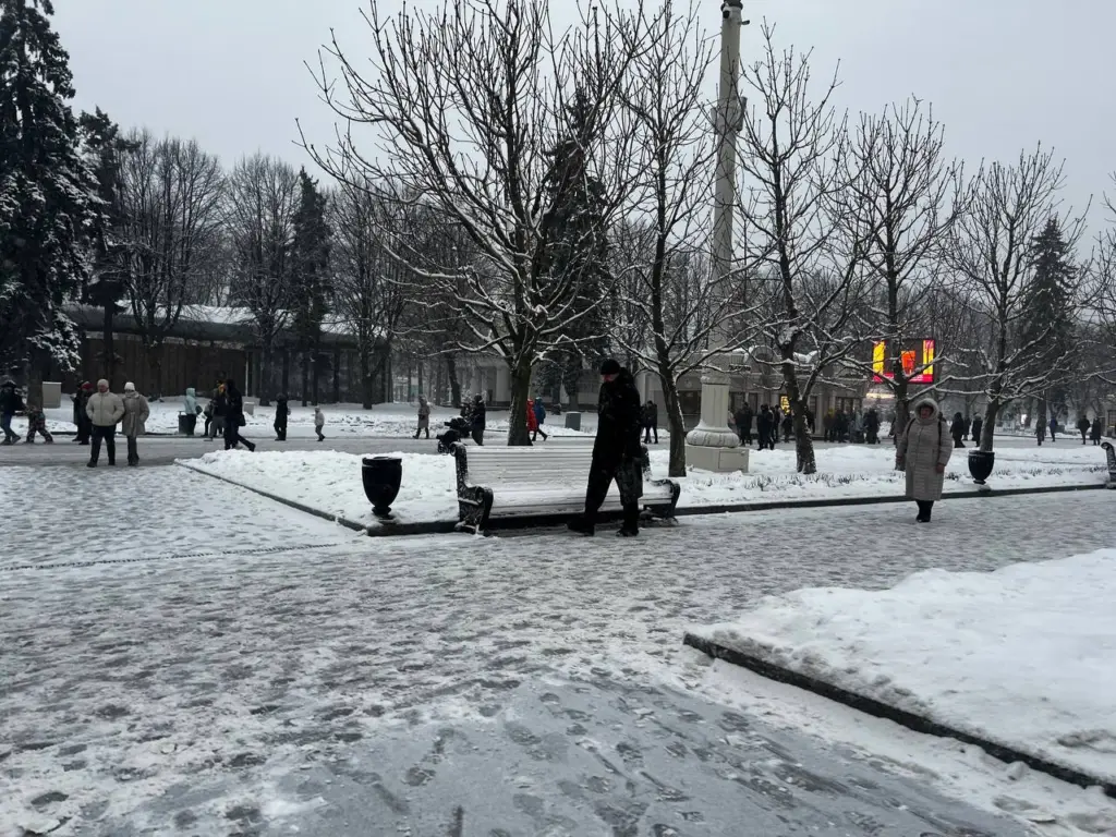 Россияне обеспокоены новым прогнозом Вильфанда: «Снега не будет»