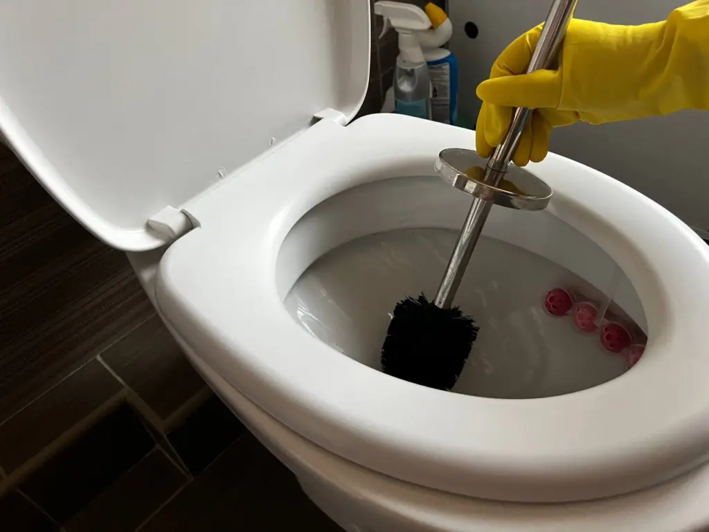 Забыла о чистящих средствах и ершике: просто засыпаю это в унитаз перед сном и на утро унитаз сияет чистотой