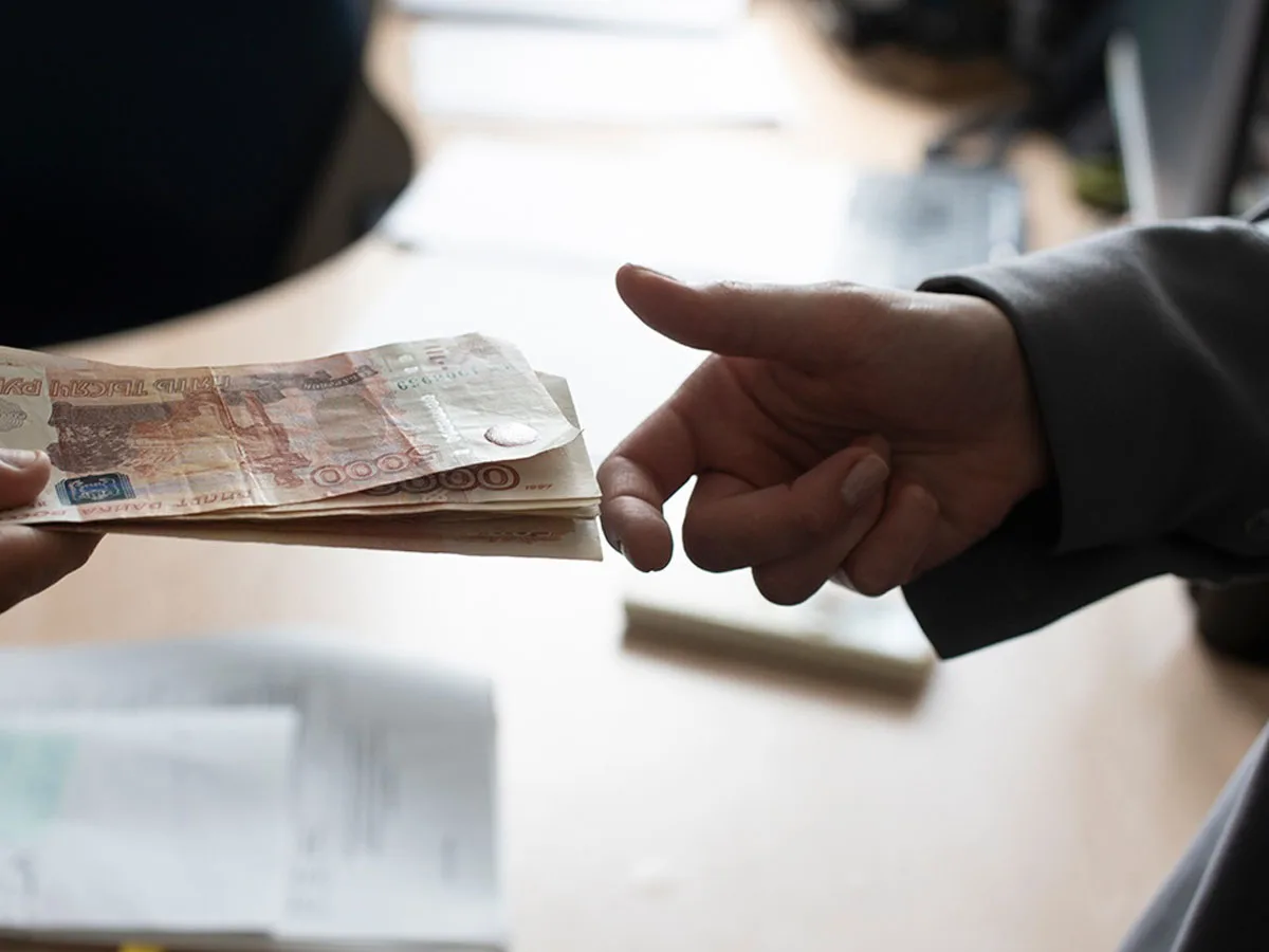 В России стартовали проверки неработающих граждан на скрытые доходы что и у кого проверит ФНС0