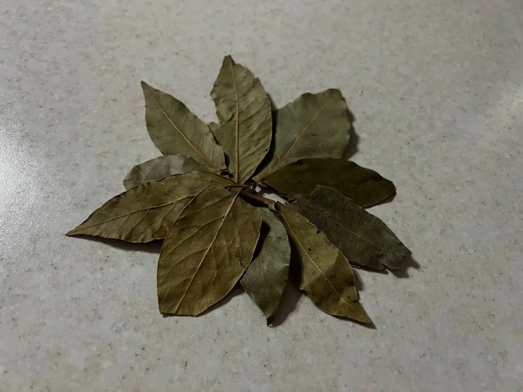 Перед каждой уборкой я кипячу лавровый лист: этот лайфхак свекрови действительно впечатляет