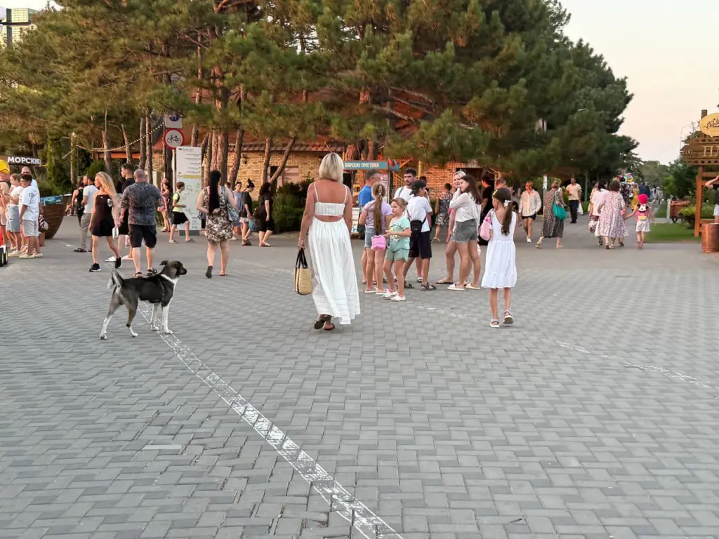 Одна простая привычка, которая сделает вашу жизнь ярче: легкое упражнение для повышения спокойствия и счастья