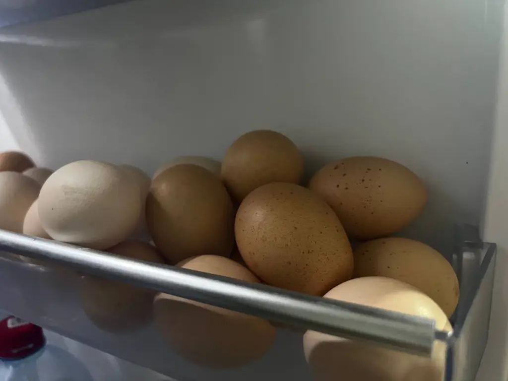 Как правильно варить яйца: в холодную или горячую воду — советы опытной хозяйки