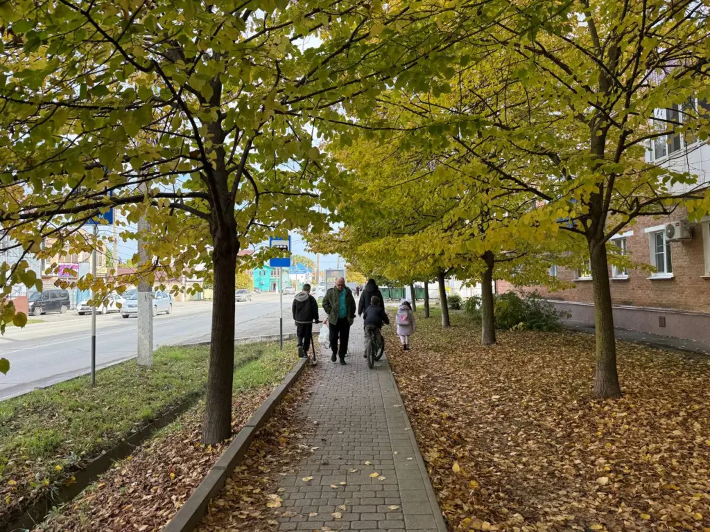 Вы не зря ходили в школу, если не используете эту фразу: она принадлежит безграмотным. Проверьте свои знания