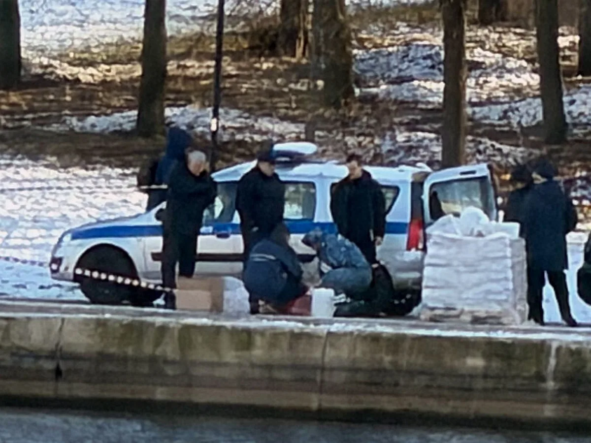 Восток Москвы: обнаружен пакет с останками школьника0