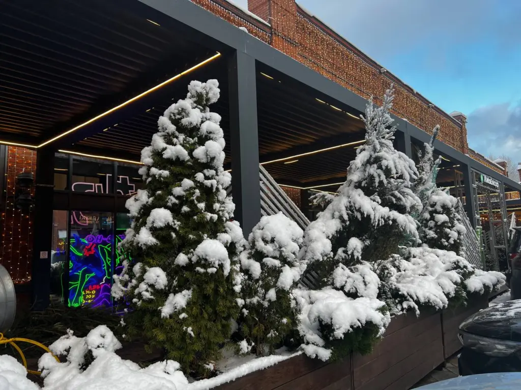 Россиян ждет «метеовесна» вместо зимы: прогнозы синоптиков о предстоящих изменениях