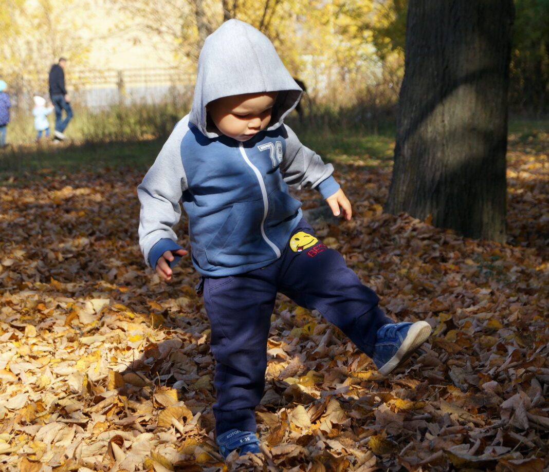 осень, листья, ребенок, дети0