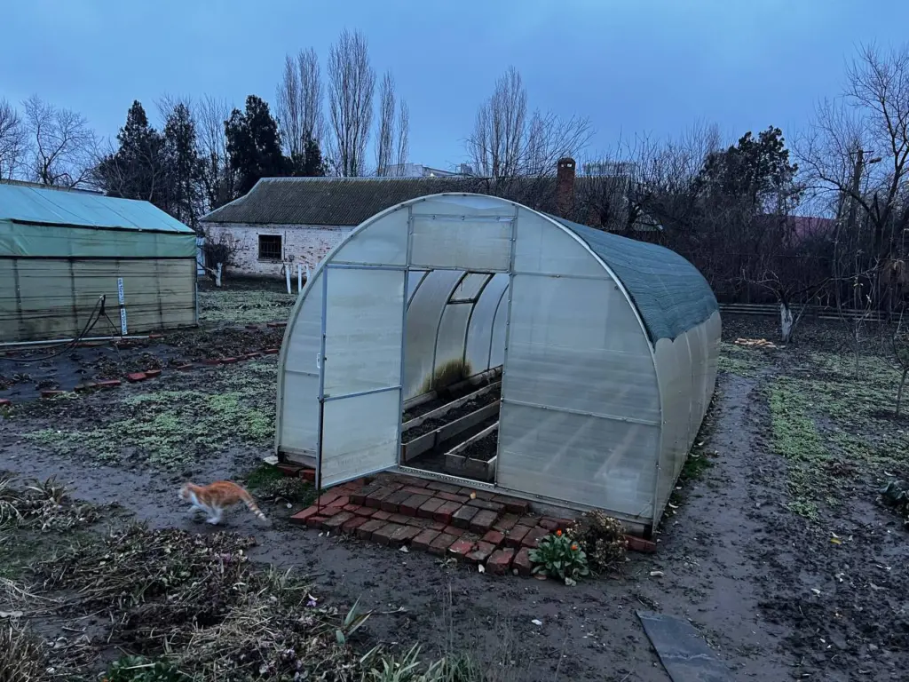 Какие вредители зимуют в огороде и весной уничтожают урожай