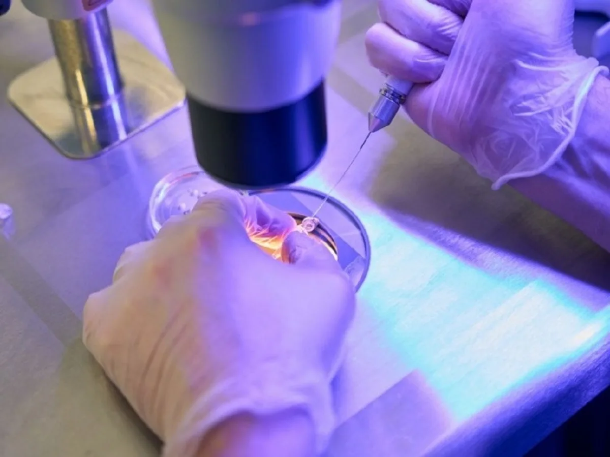 Сперма донора с раковыми мутациями привела к появлению 200 детей в Европе, среди которых уже есть умершие0