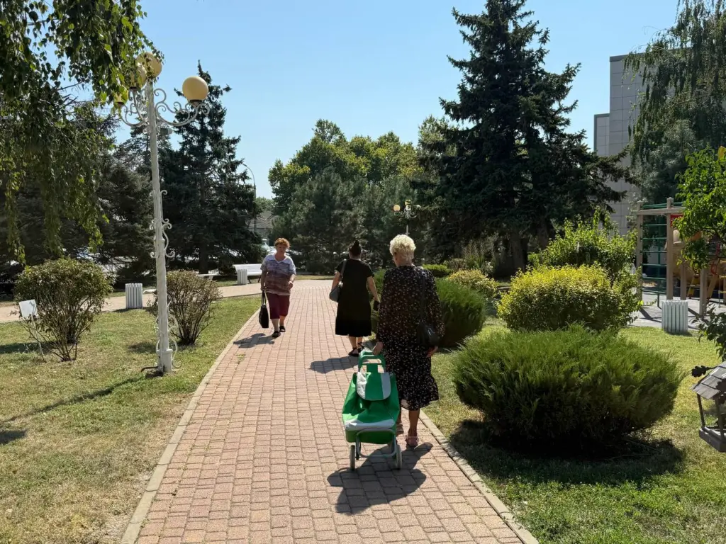 С 1 декабря пенсионерам необходимо оформить новый тип удостоверения – инструкция по получению