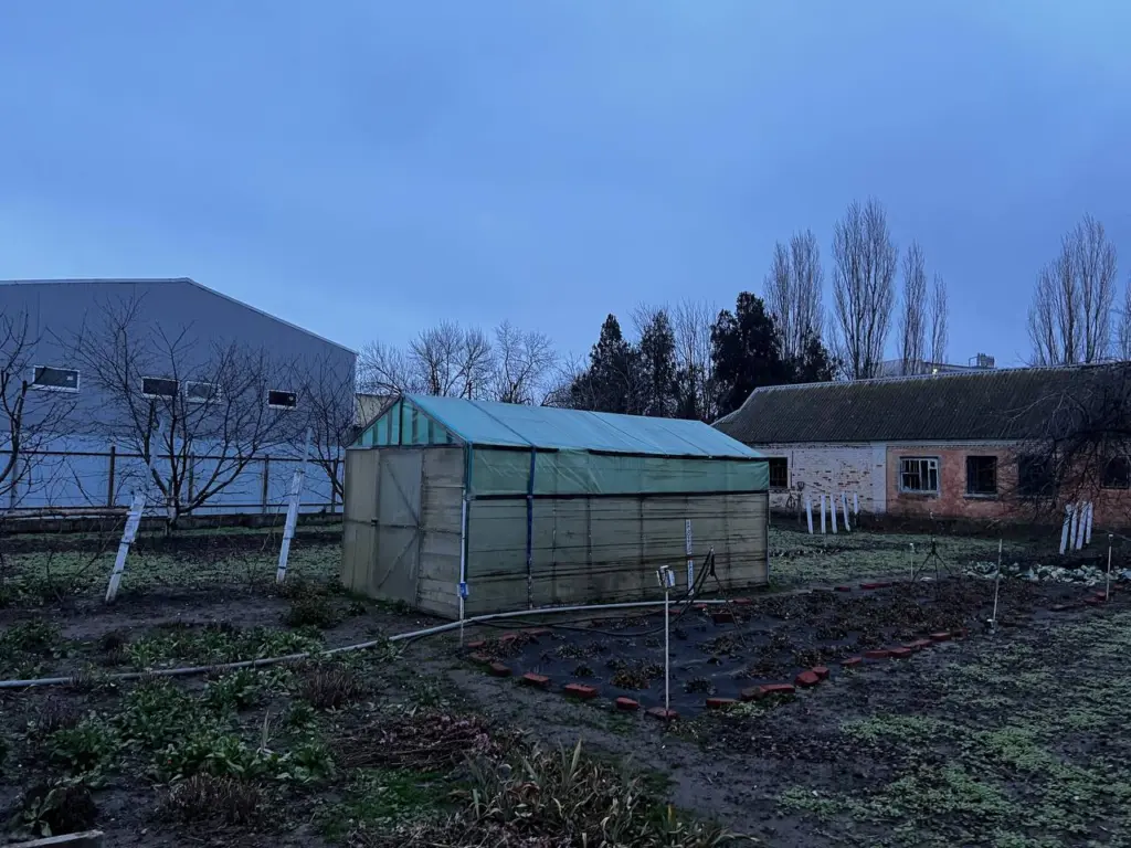 Секреты зимнего ухода и ремонта теплицы: как поддерживать идеальное состояние до весны для опытных дачников