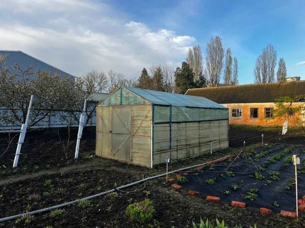 Как легко определить кислотность почвы без использования приборов — быстрый и эффективный тест