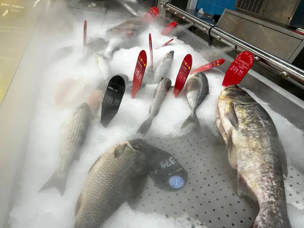 Как быстро очистить селедку за 3 минуты: открыла неожиданный японский метод — результат — филе без лишних усилий